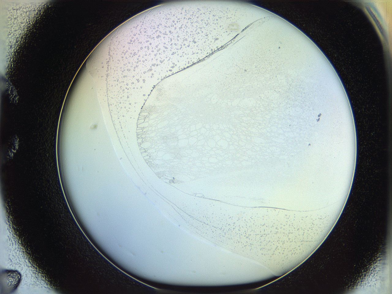 06c8_C7_ImagerDefaults_5.jpg