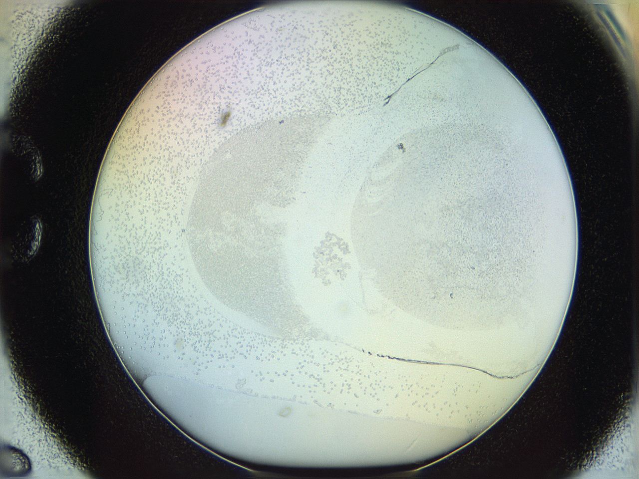 06c8_C6_ImagerDefaults_5.jpg