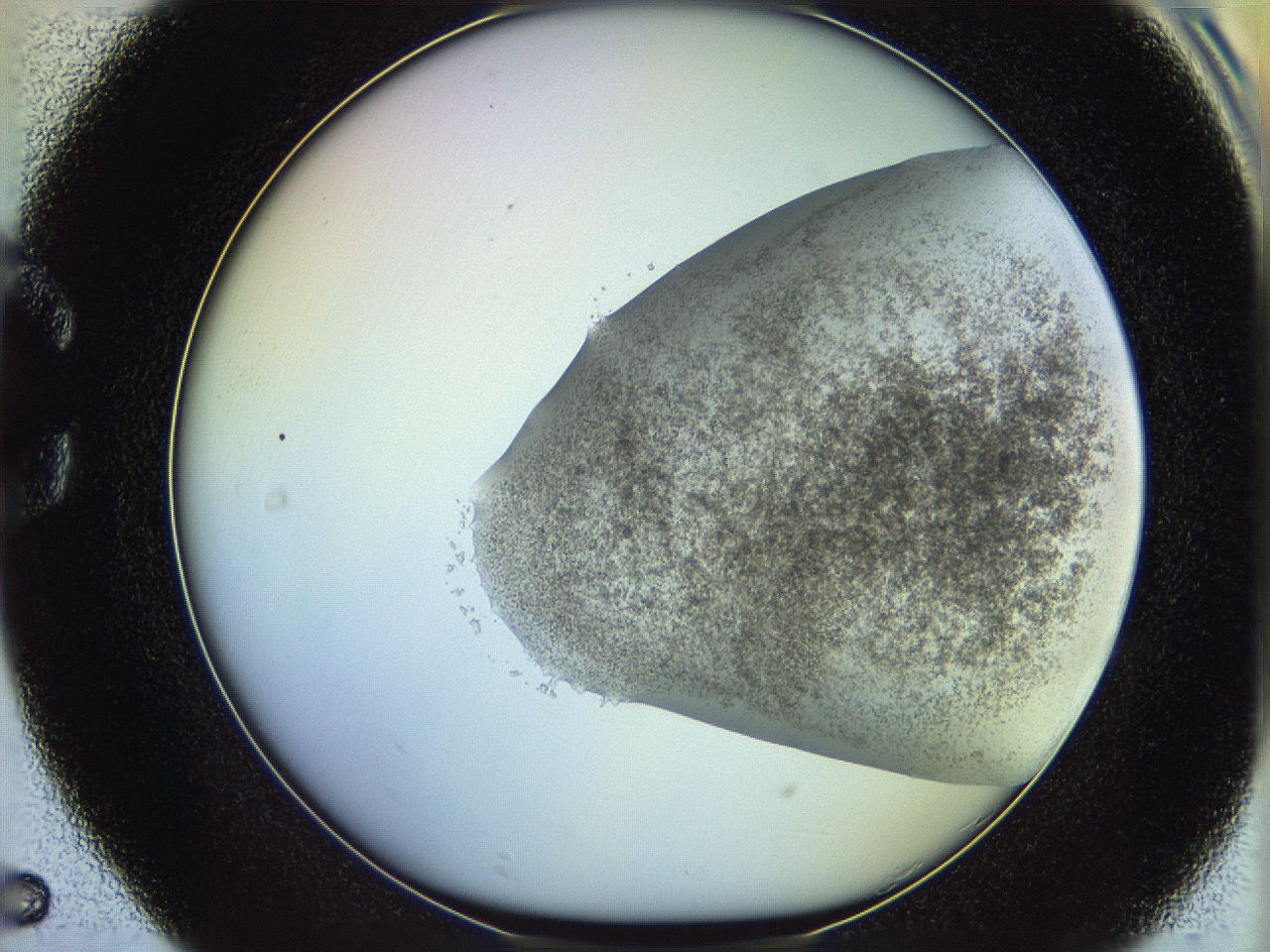 06c8_C5_ImagerDefaults_3.jpg
