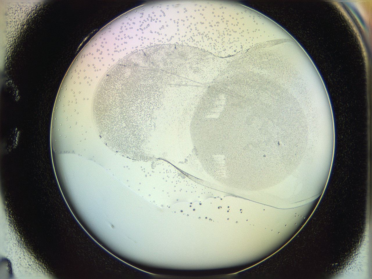 06c8_C4_ImagerDefaults_5.jpg