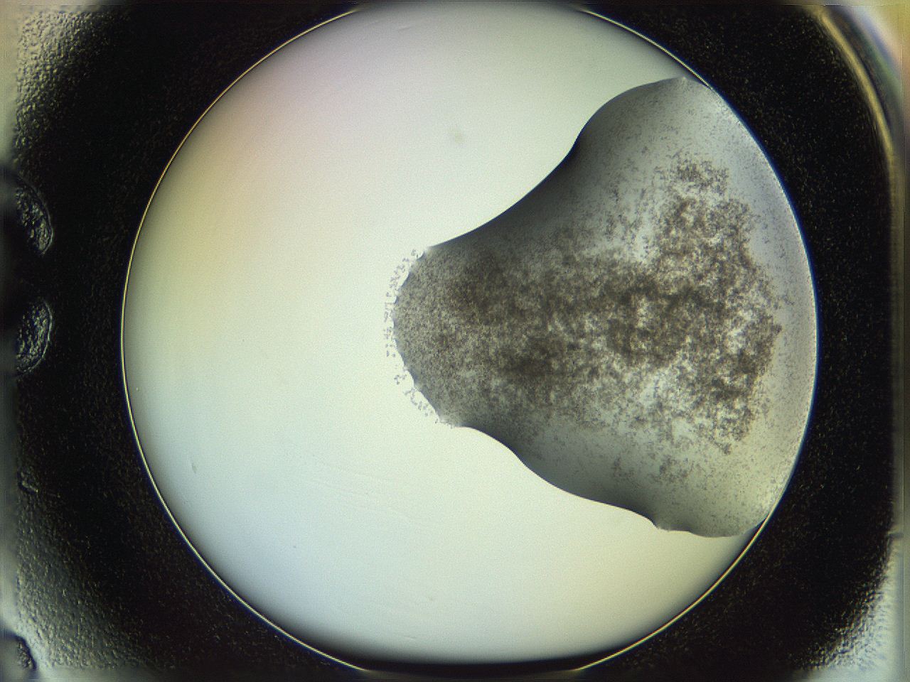 06c8_C3_ImagerDefaults_3.jpg