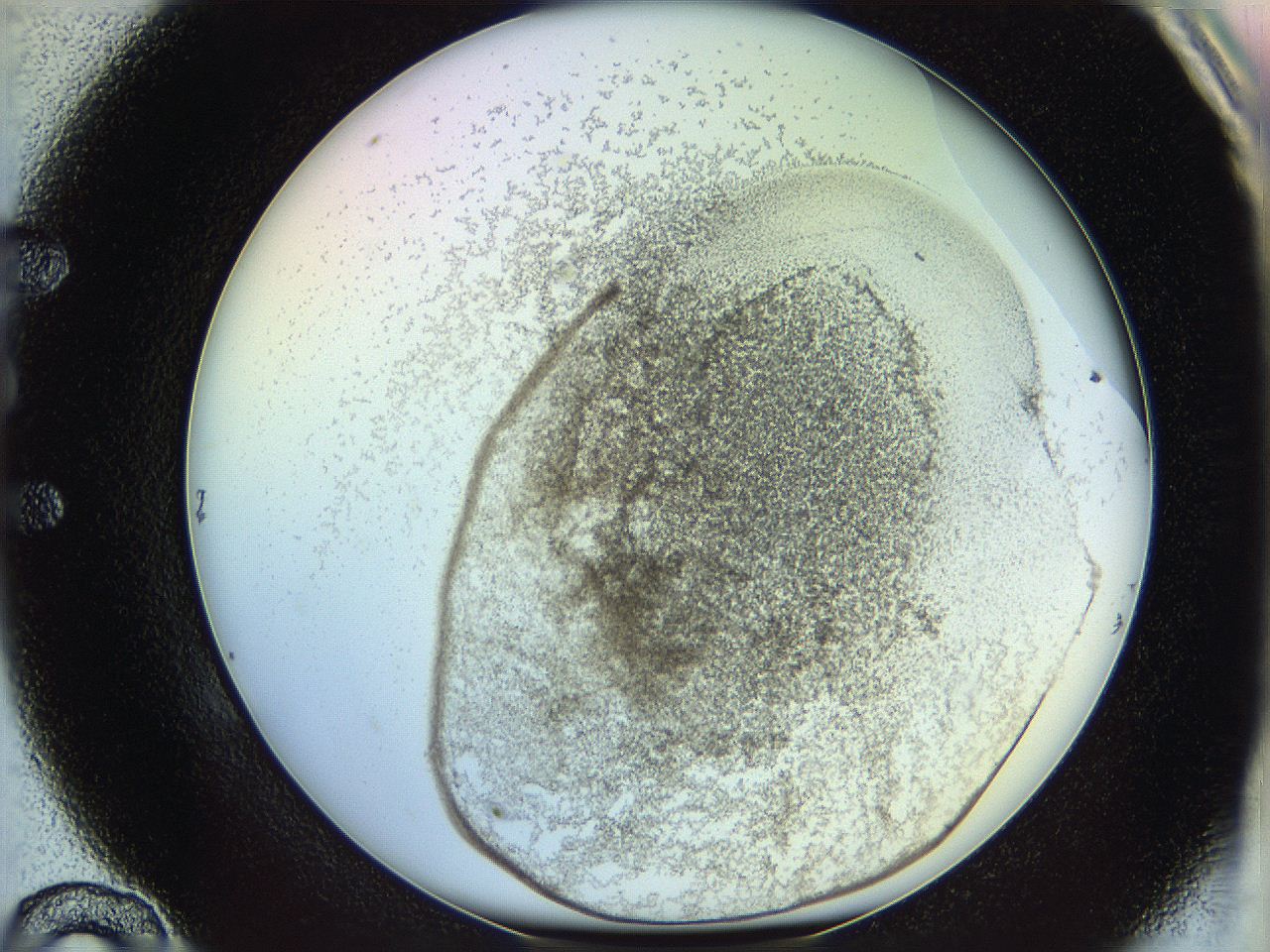 06c8_E10_ImagerDefaults_5.jpg