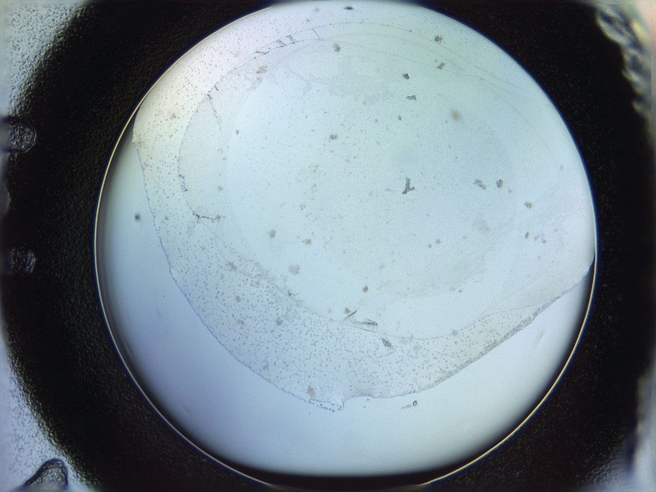 06c8_E11_ImagerDefaults_1.jpg