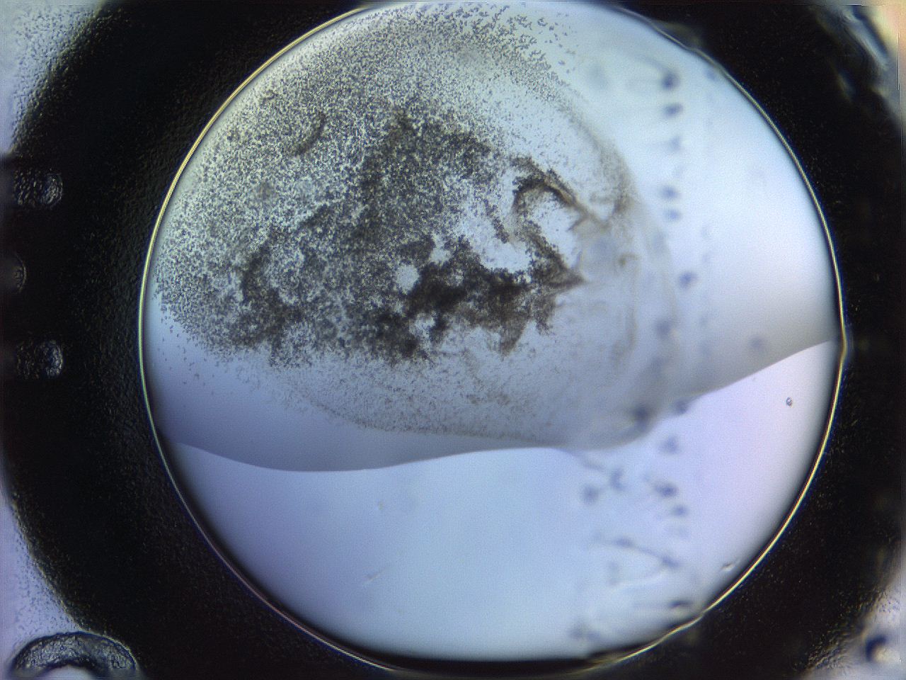 06c8_E12_ImagerDefaults_3.jpg
