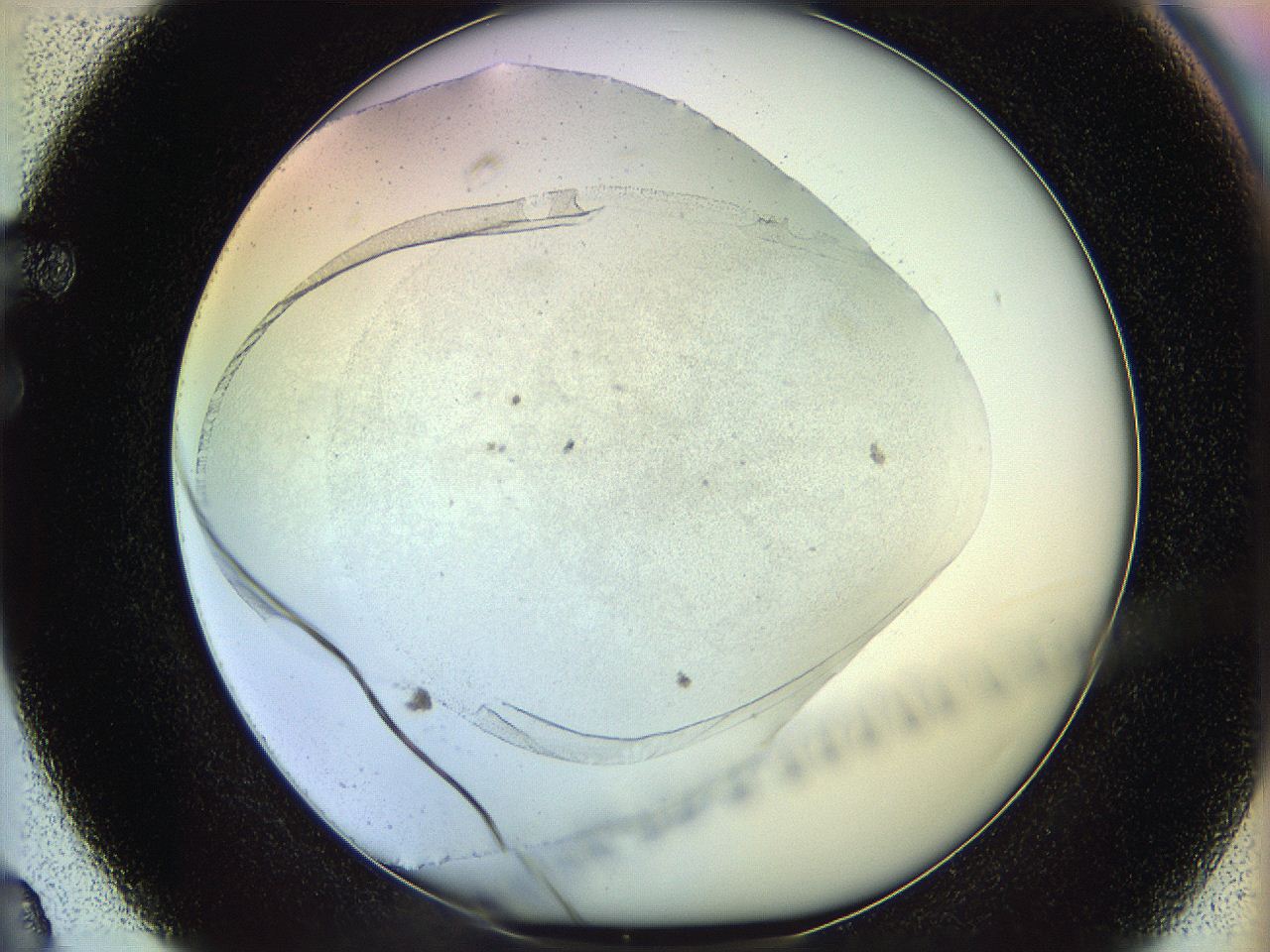 06c8_F3_ImagerDefaults_0.jpg