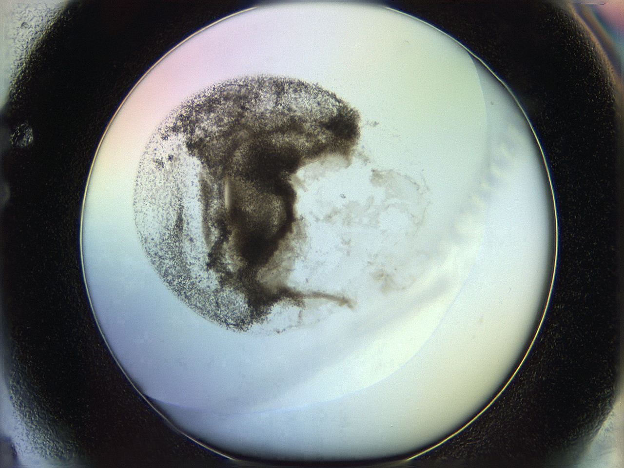 06c8_F4_ImagerDefaults_3.jpg