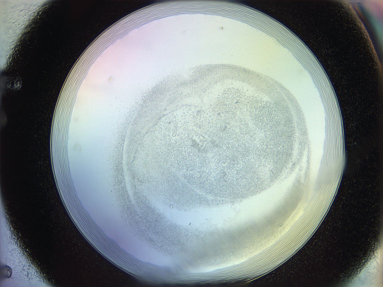 06c8_F5_ImagerDefaults_5.jpg