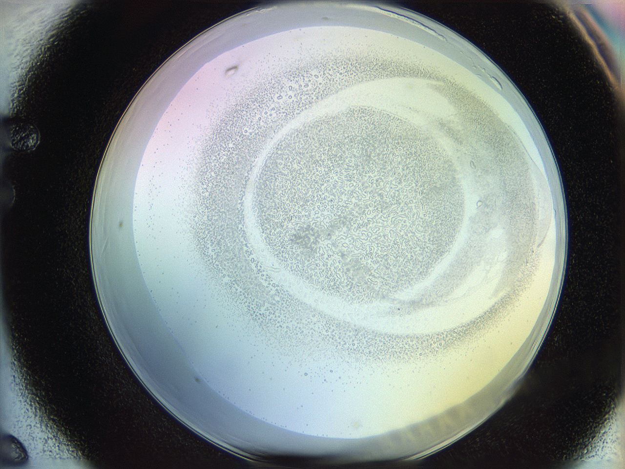 06c8_F6_ImagerDefaults_5.jpg