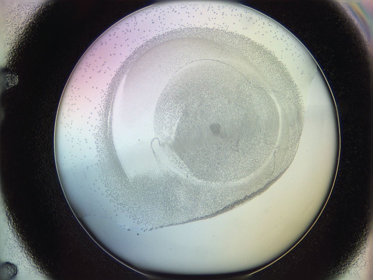 06c8_F7_ImagerDefaults_5.jpg
