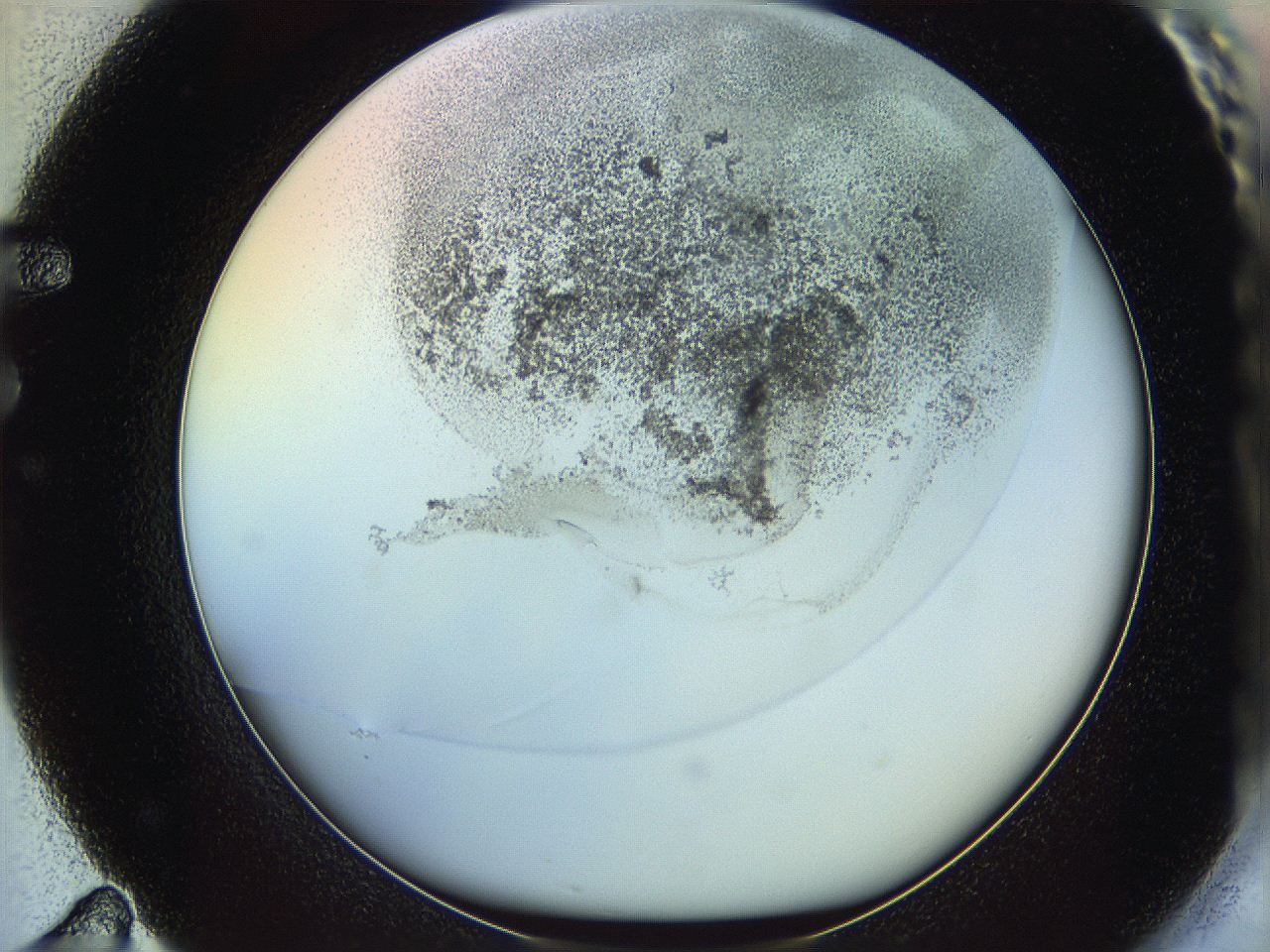 06c8_F11_ImagerDefaults_3.jpg