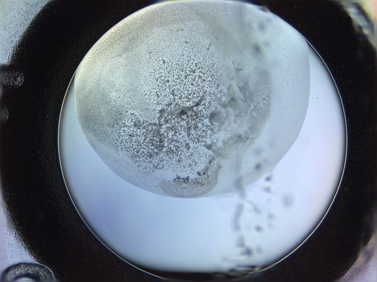 06c8_F12_ImagerDefaults_3.jpg