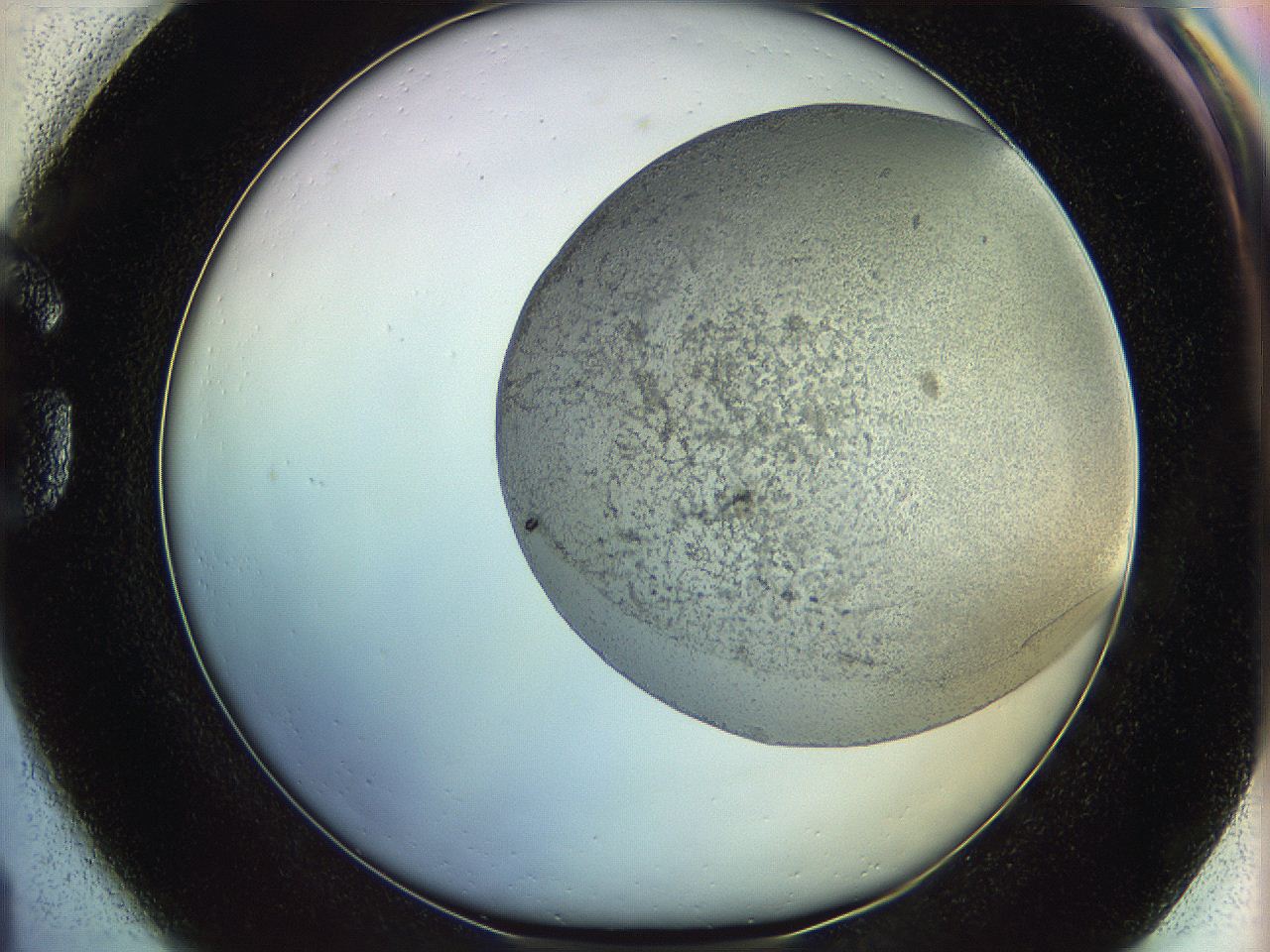 06c8_G1_ImagerDefaults_3.jpg