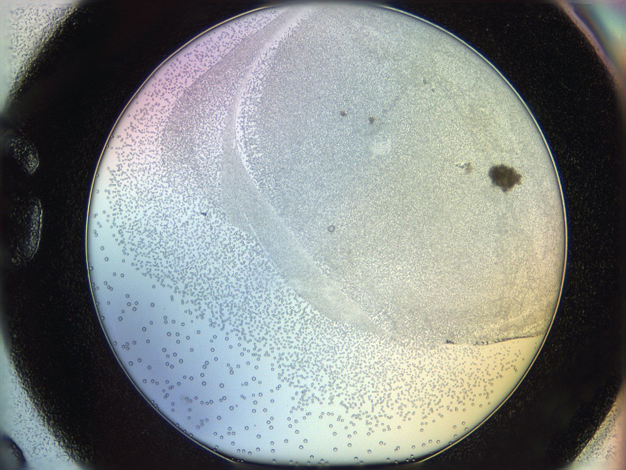 06c8_G3_ImagerDefaults_5.jpg