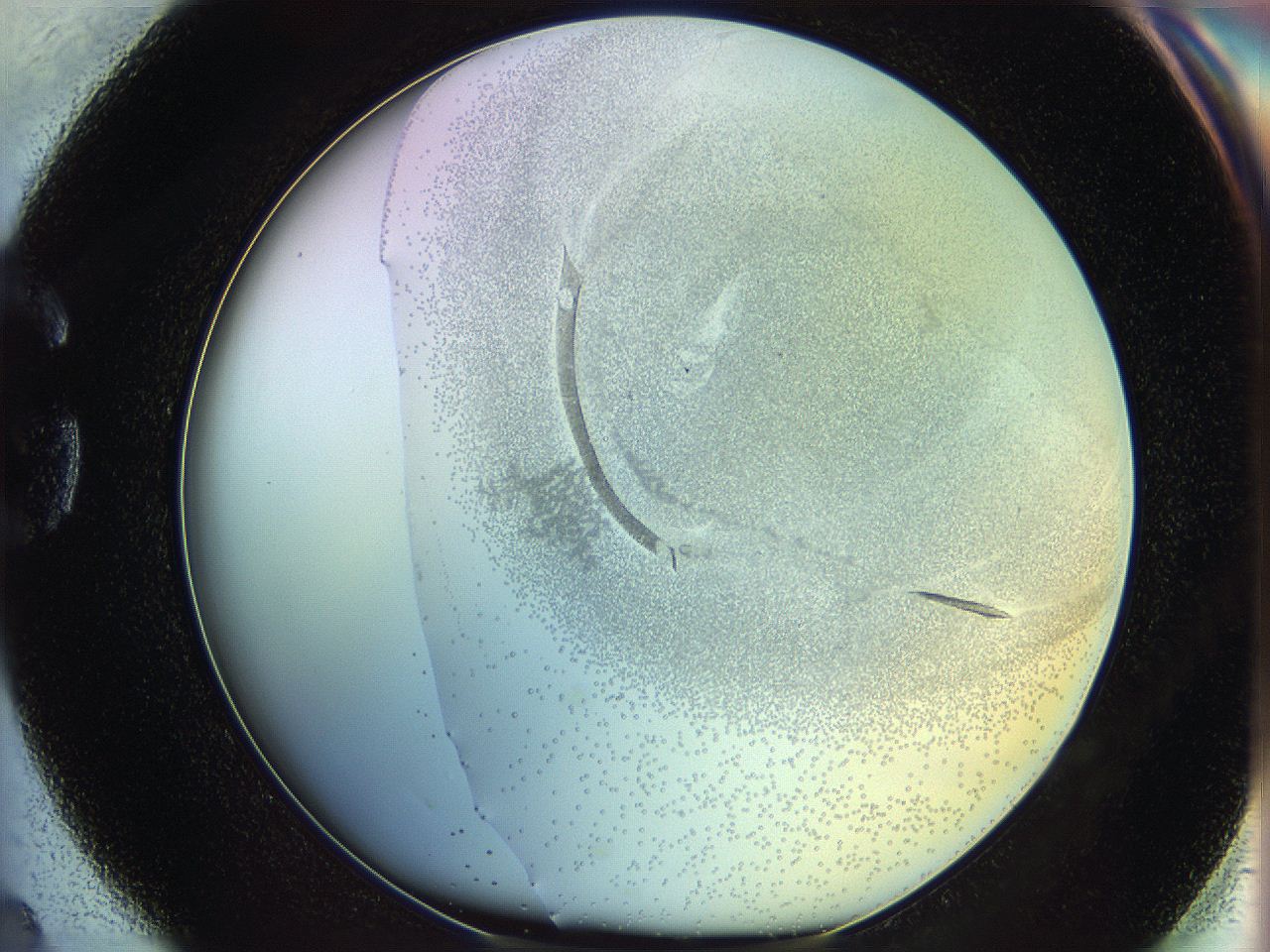 06c8_G4_ImagerDefaults_5.jpg