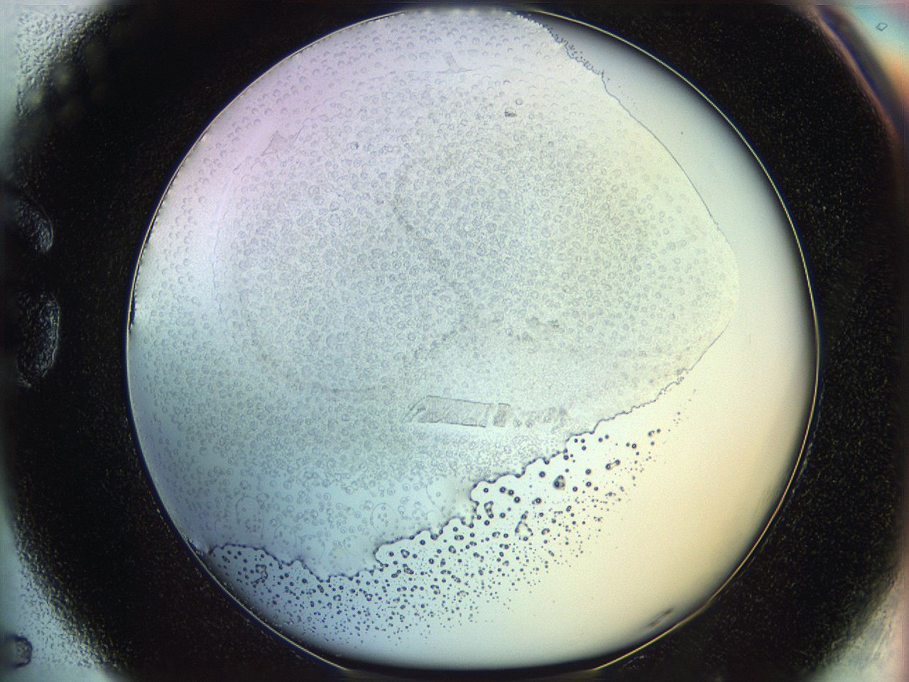 06c8_G5_ImagerDefaults_5.jpg