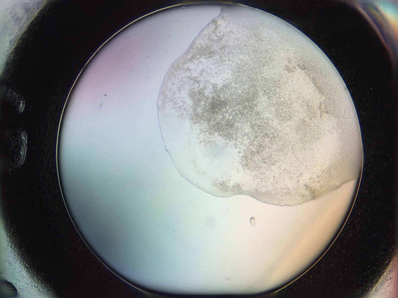 06c8_G6_ImagerDefaults_3.jpg