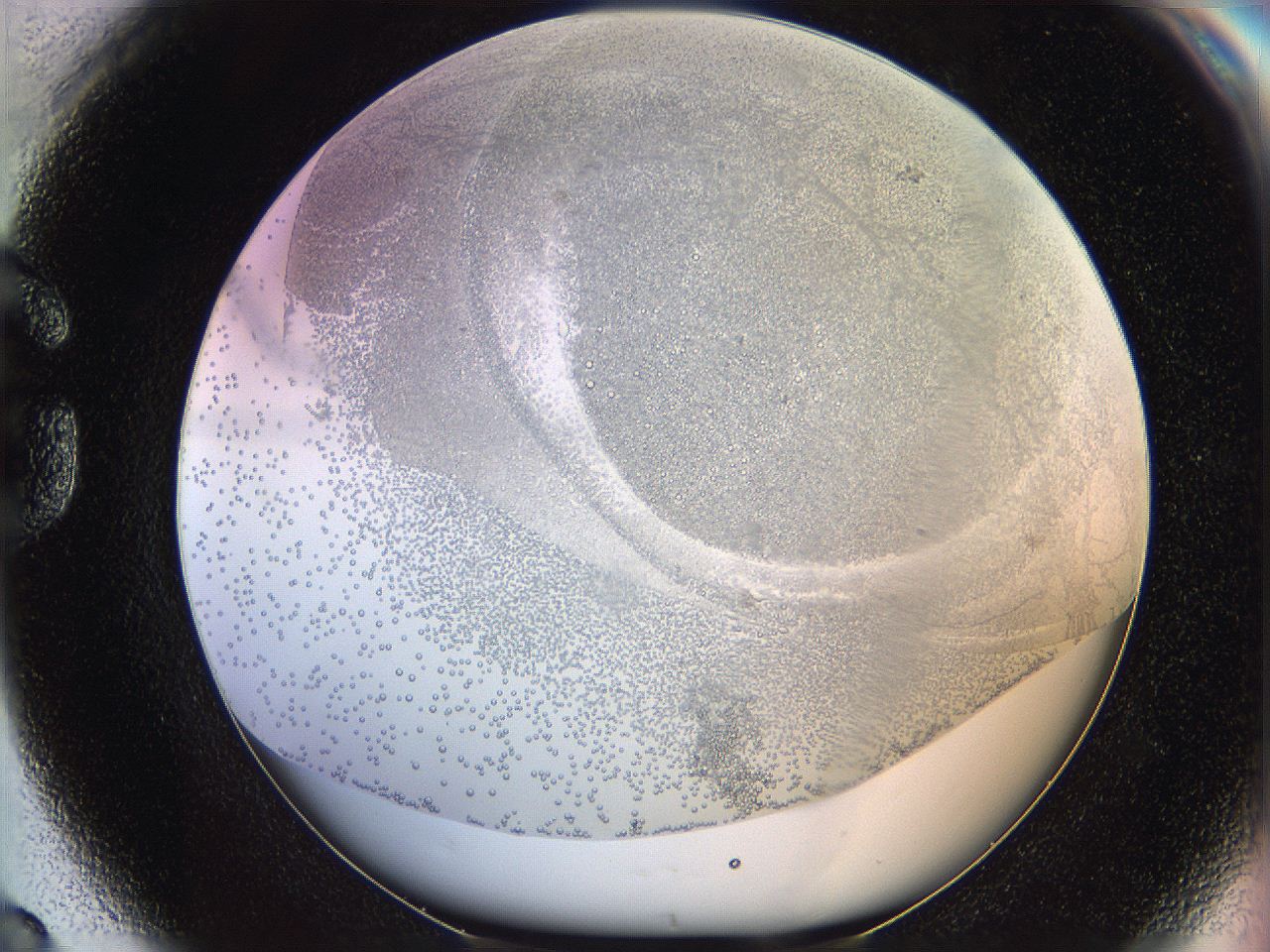 06c8_G8_ImagerDefaults_5.jpg