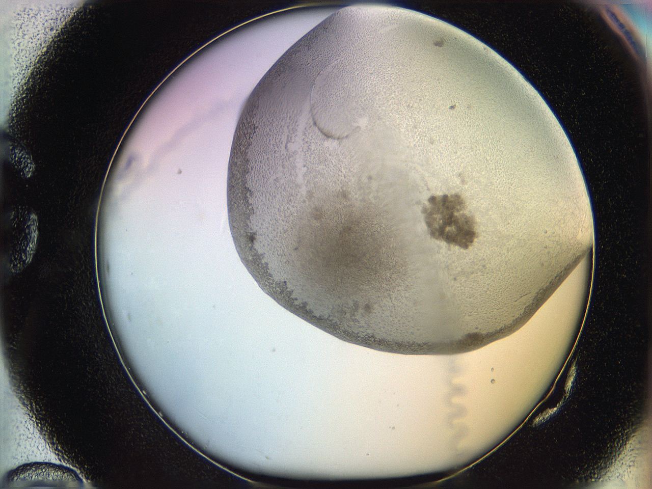 06c8_G10_ImagerDefaults_5.jpg