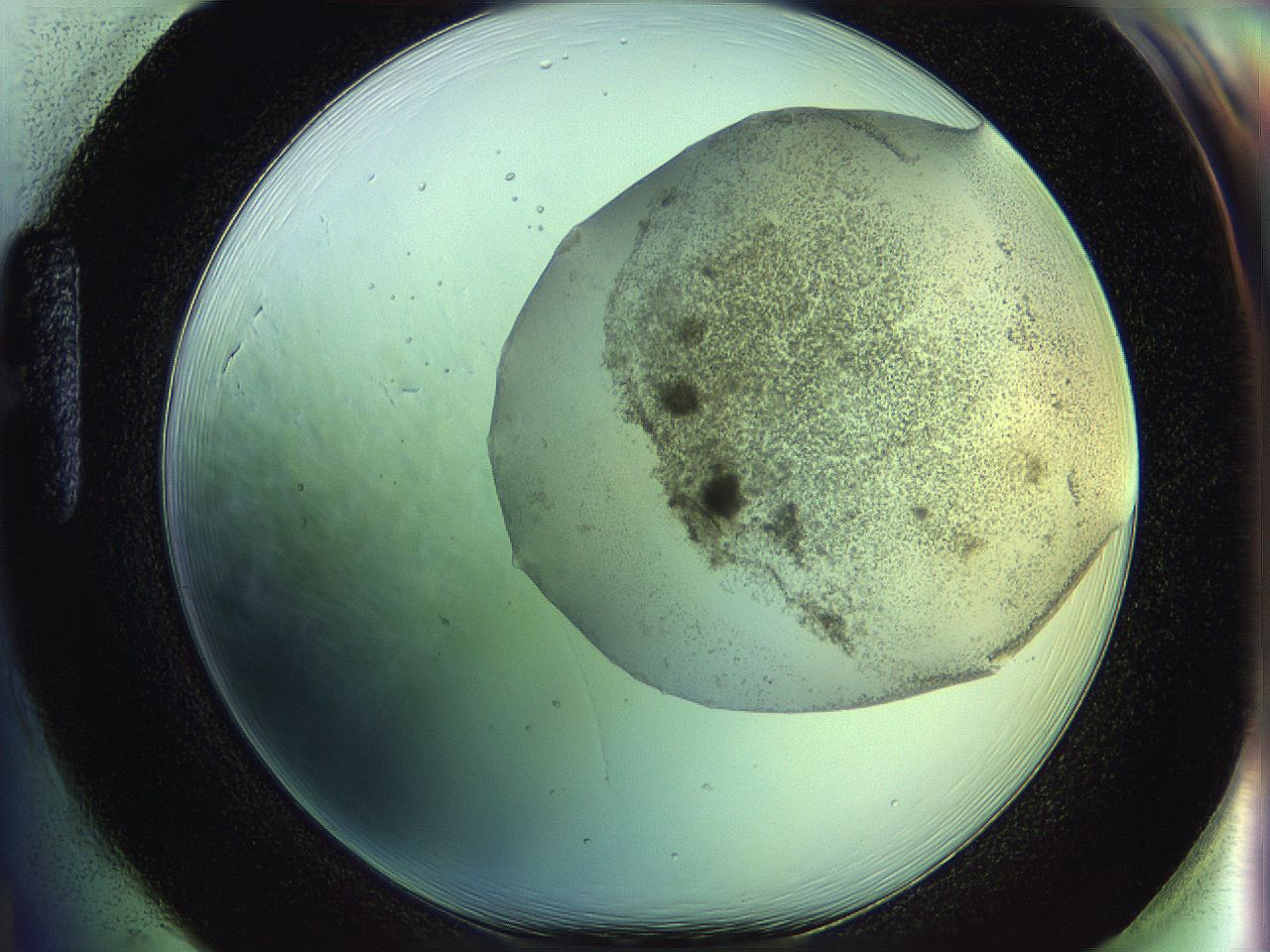 06c8_H1_ImagerDefaults_3.jpg