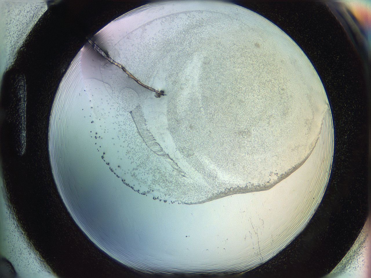 06c8_H2_ImagerDefaults_5.jpg