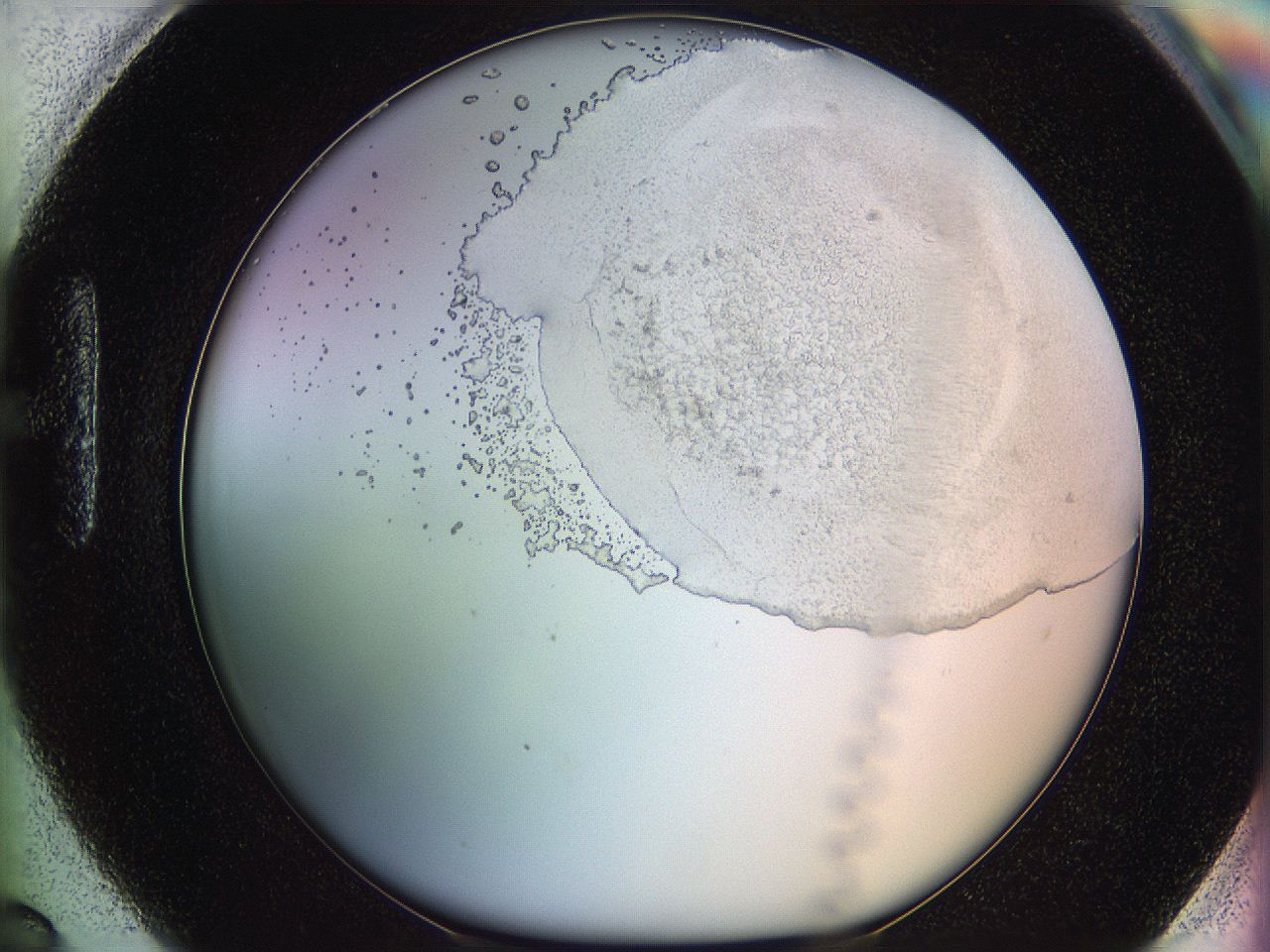 06c8_H6_ImagerDefaults_5.jpg