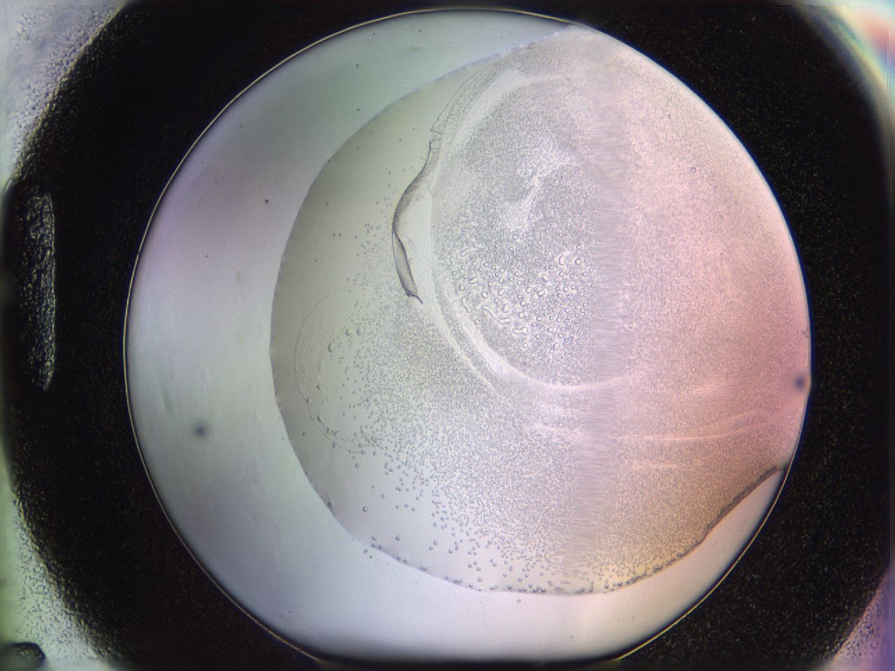 06c8_H7_ImagerDefaults_5.jpg