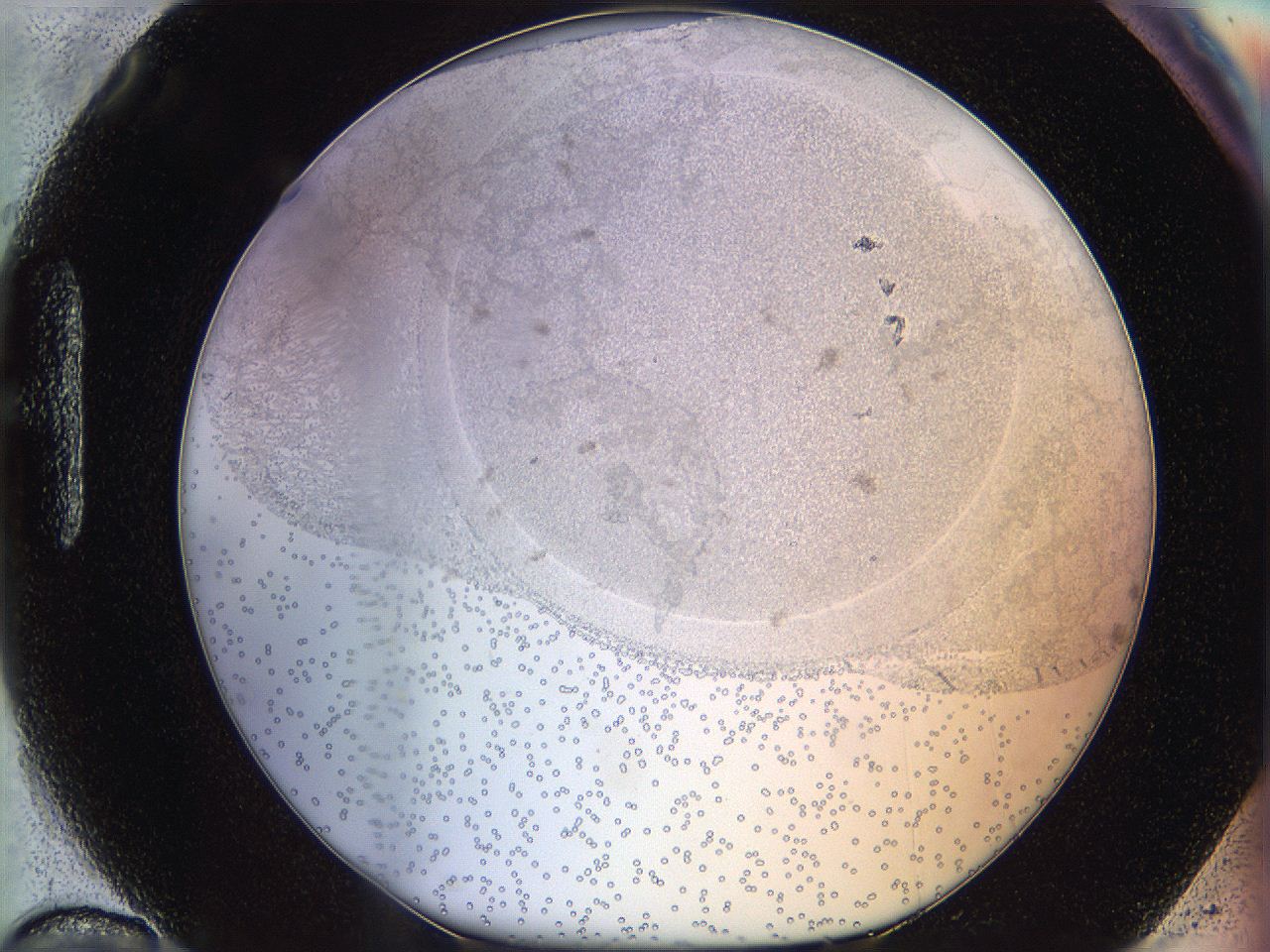 06c8_H10_ImagerDefaults_5.jpg