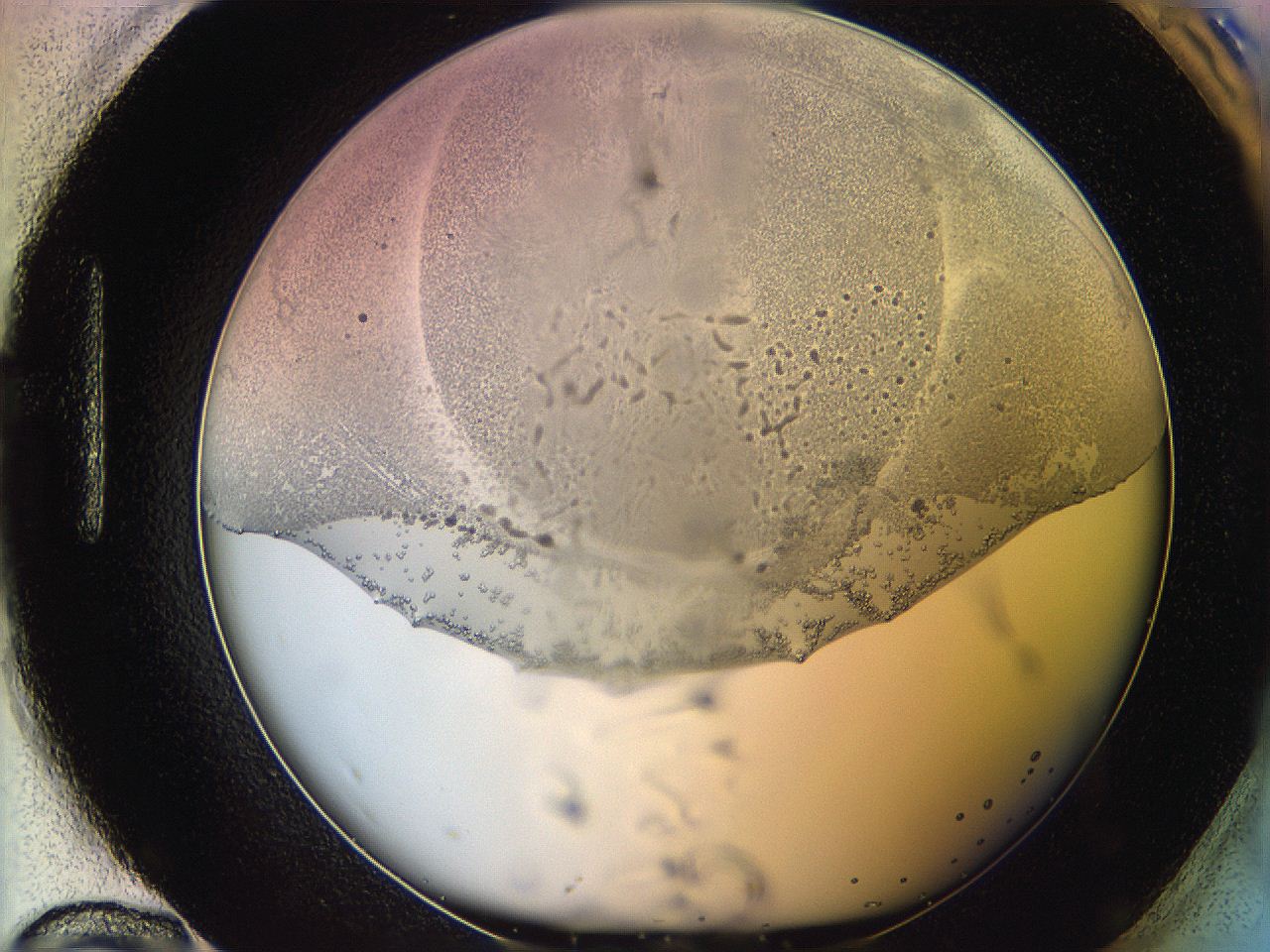 06c8_H12_ImagerDefaults_5.jpg