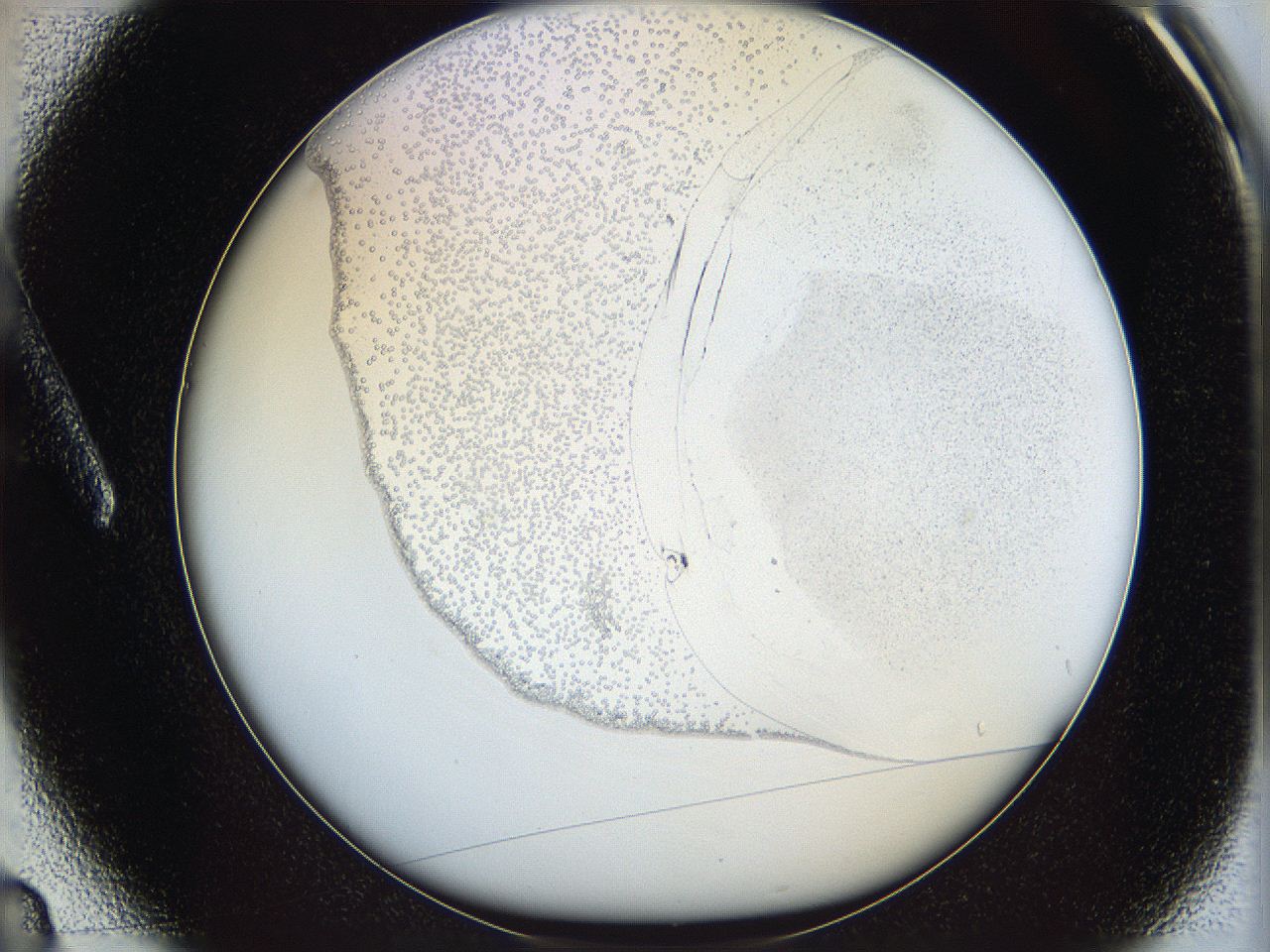 06c9_A3_ImagerDefaults_5.jpg