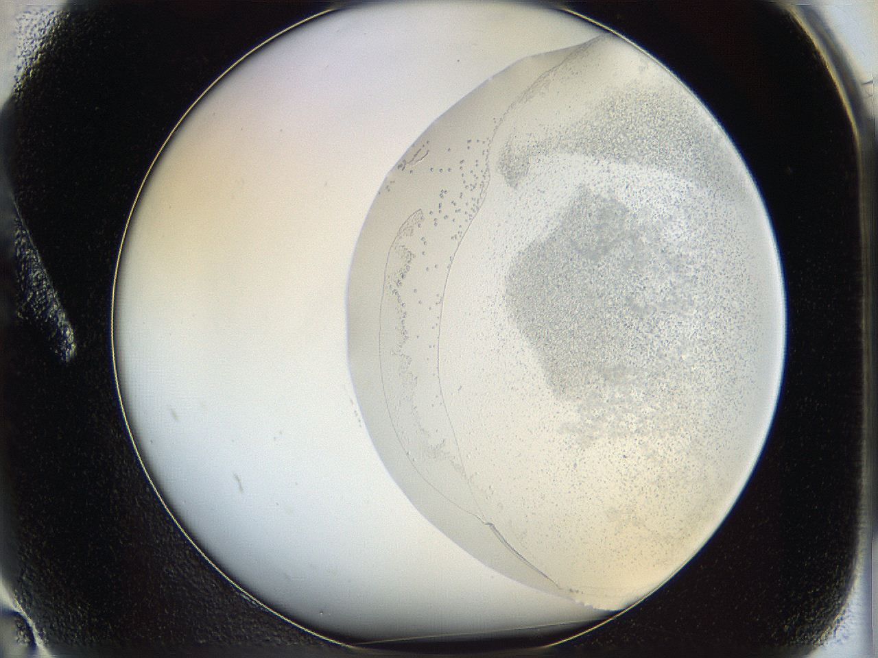 06c9_A2_ImagerDefaults_5.jpg
