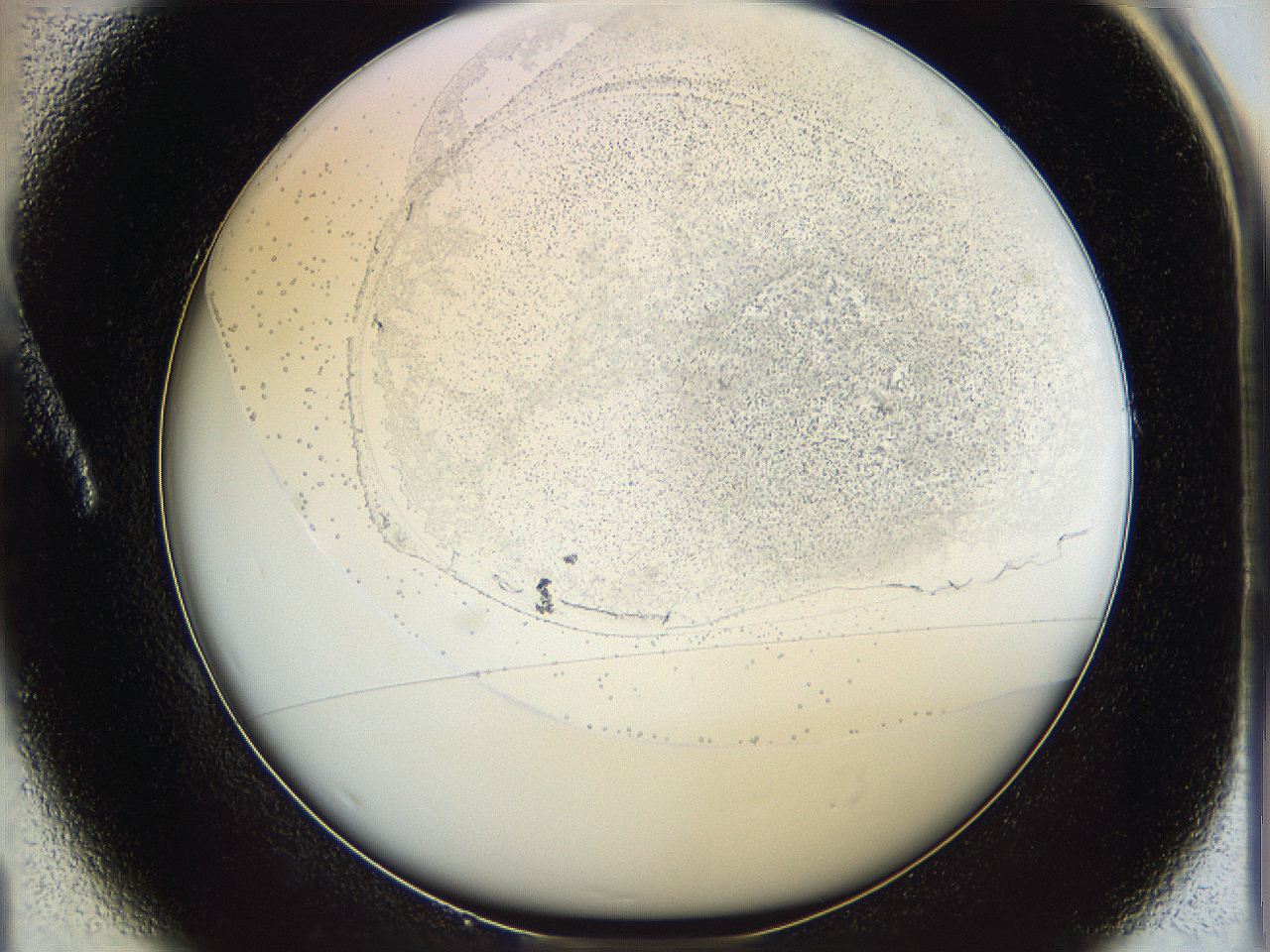 06c9_A1_ImagerDefaults_2.jpg