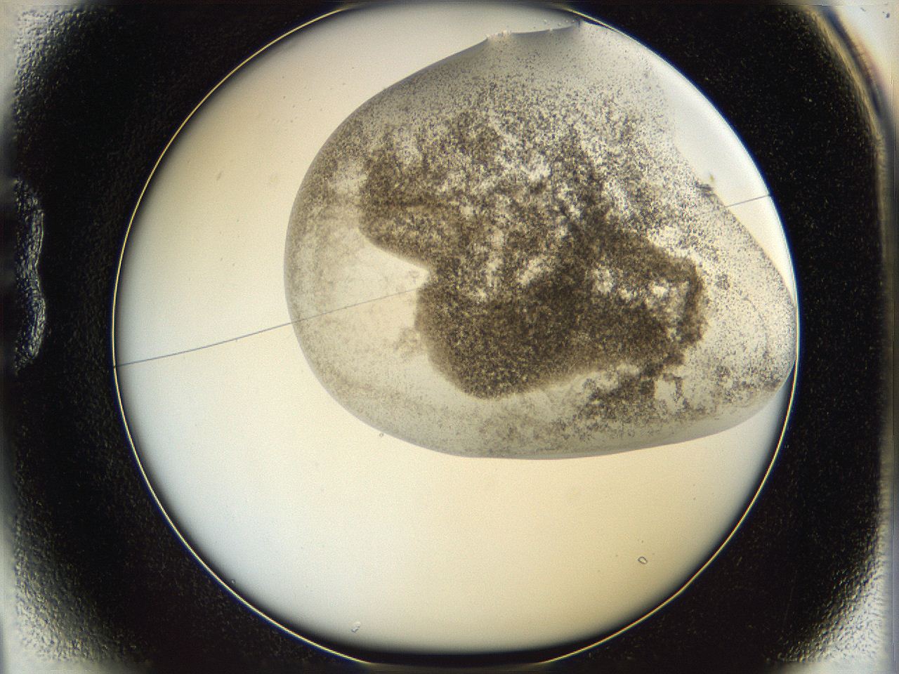 06c9_B1_ImagerDefaults_3.jpg