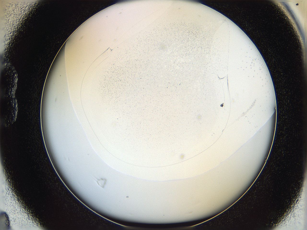 06c9_B4_ImagerDefaults_0.jpg