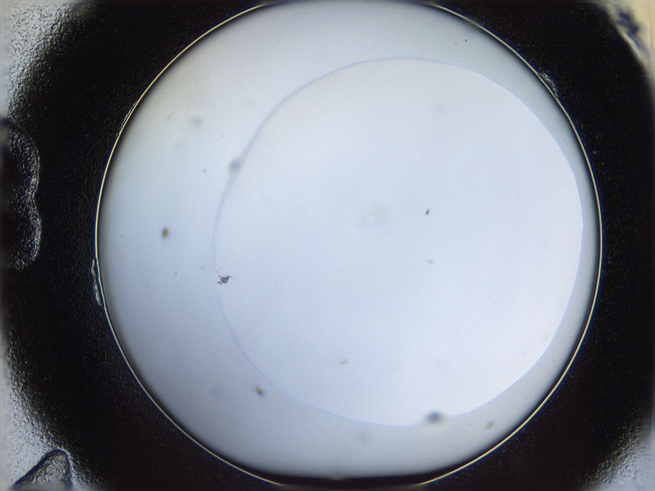 06c9_B11_ImagerDefaults_0.jpg