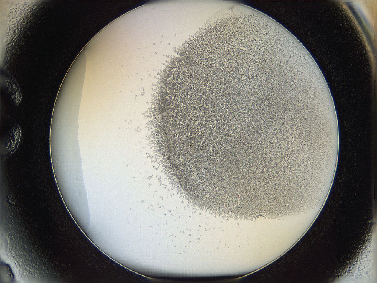 06c9_C3_ImagerDefaults_2.jpg