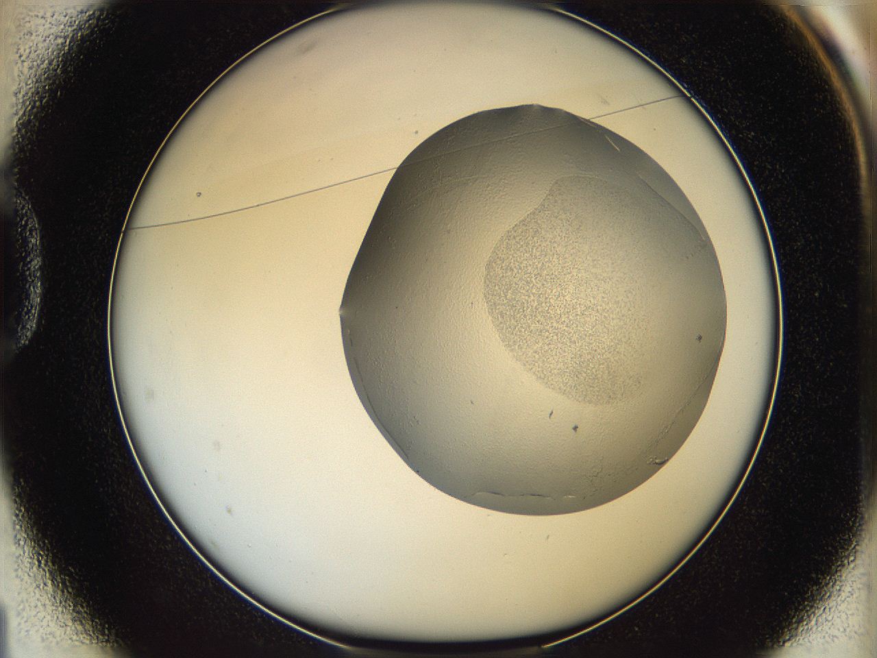 06c9_D1_ImagerDefaults_2.jpg