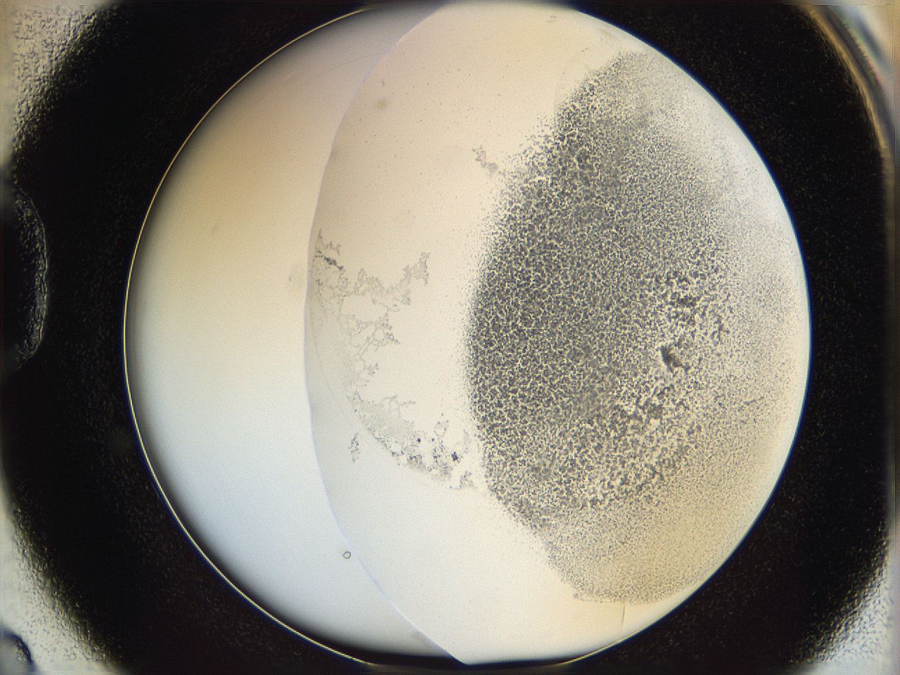 06c9_D2_ImagerDefaults_2.jpg