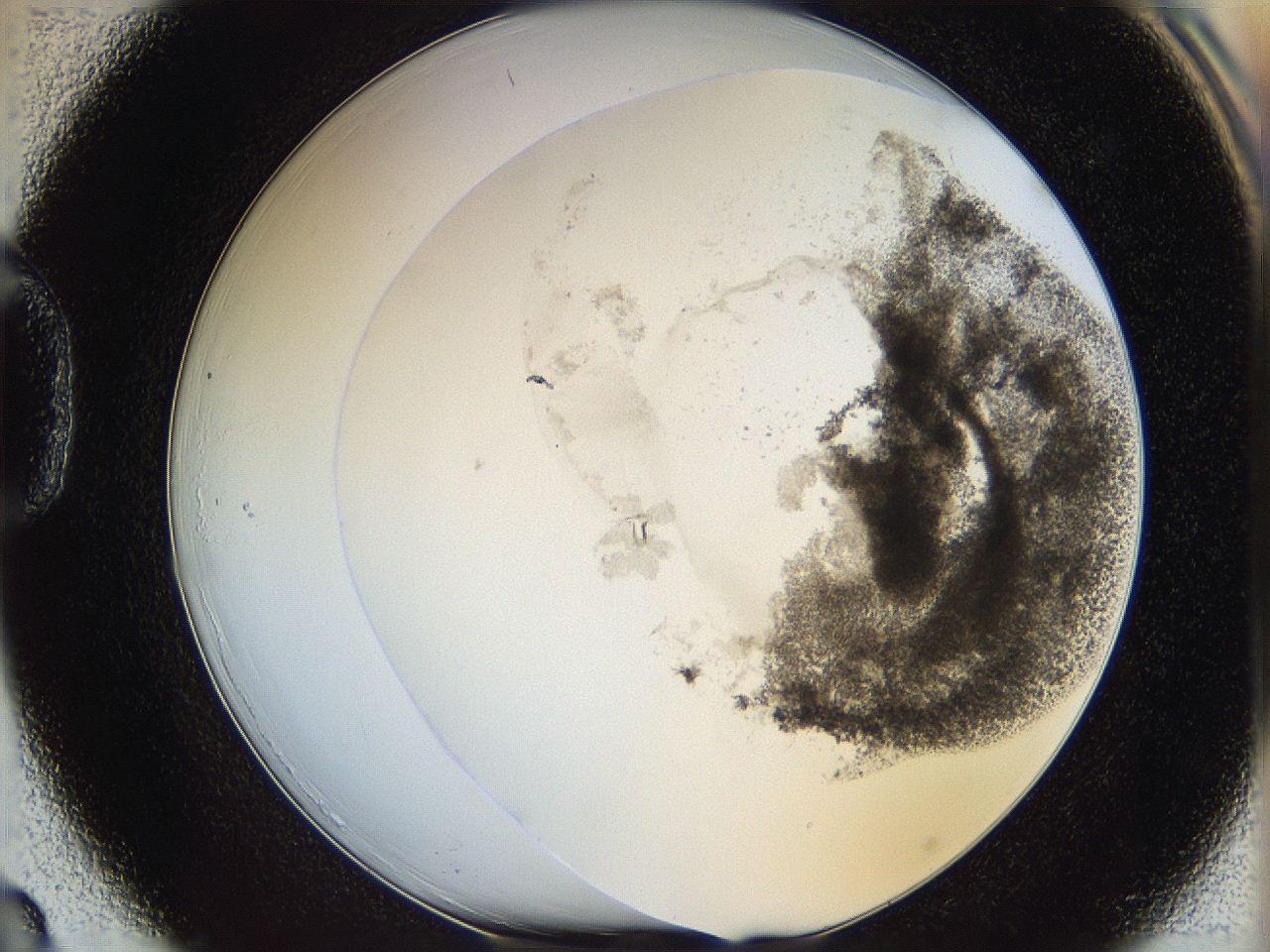 06c9_D3_ImagerDefaults_3.jpg