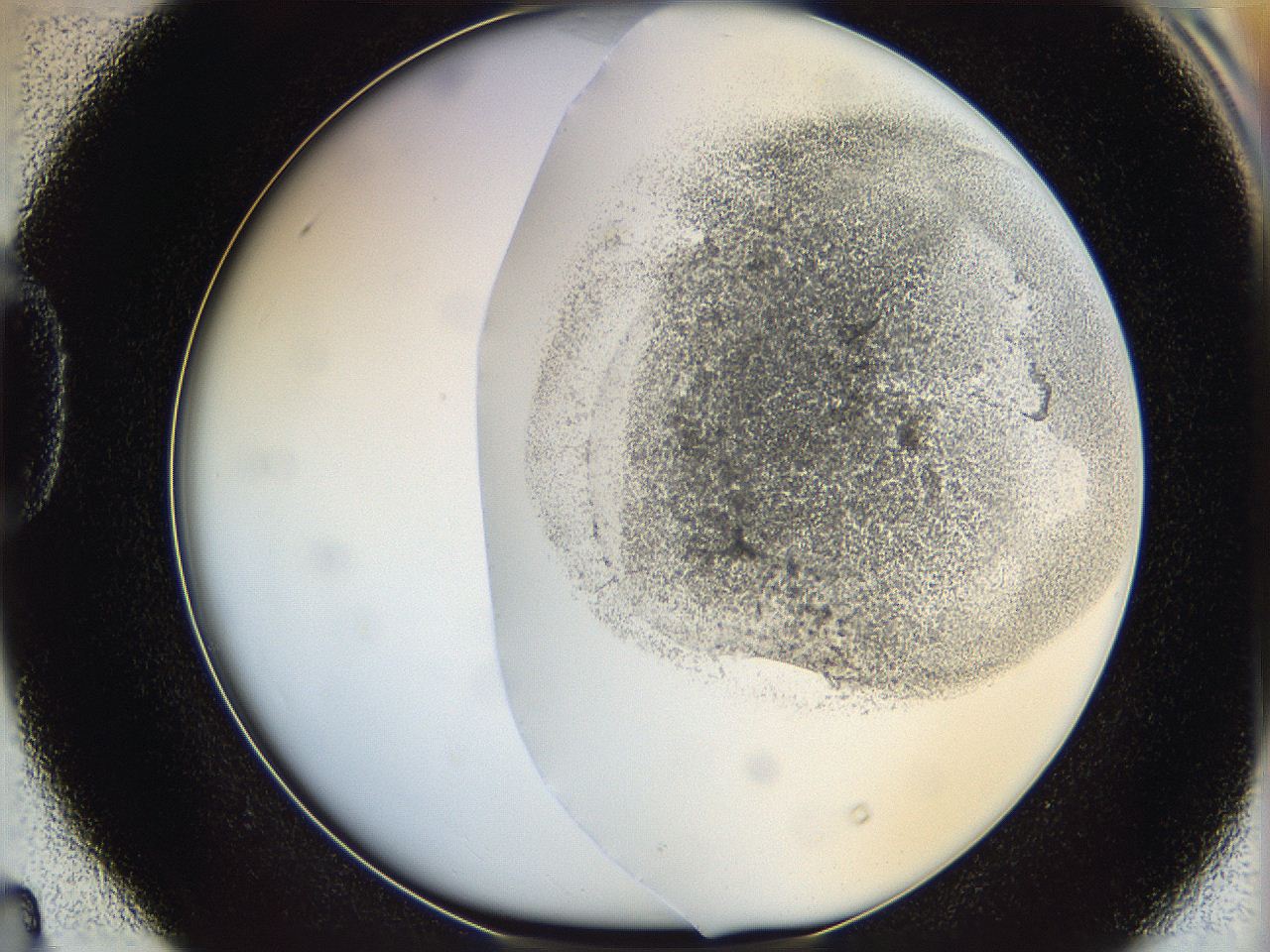 06c9_D4_ImagerDefaults_3.jpg
