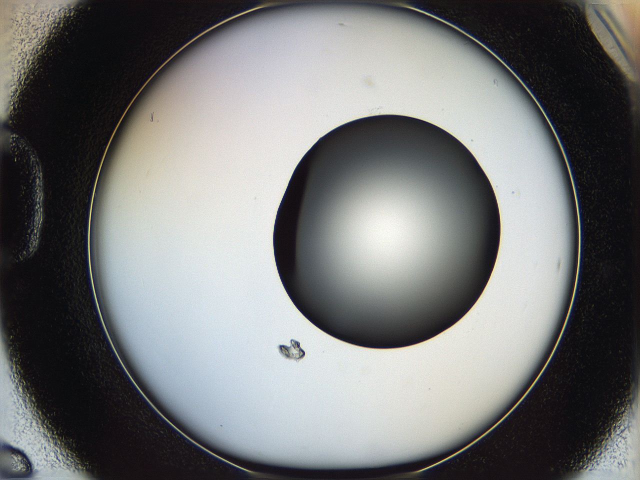 06c9_D6_ImagerDefaults_0.jpg