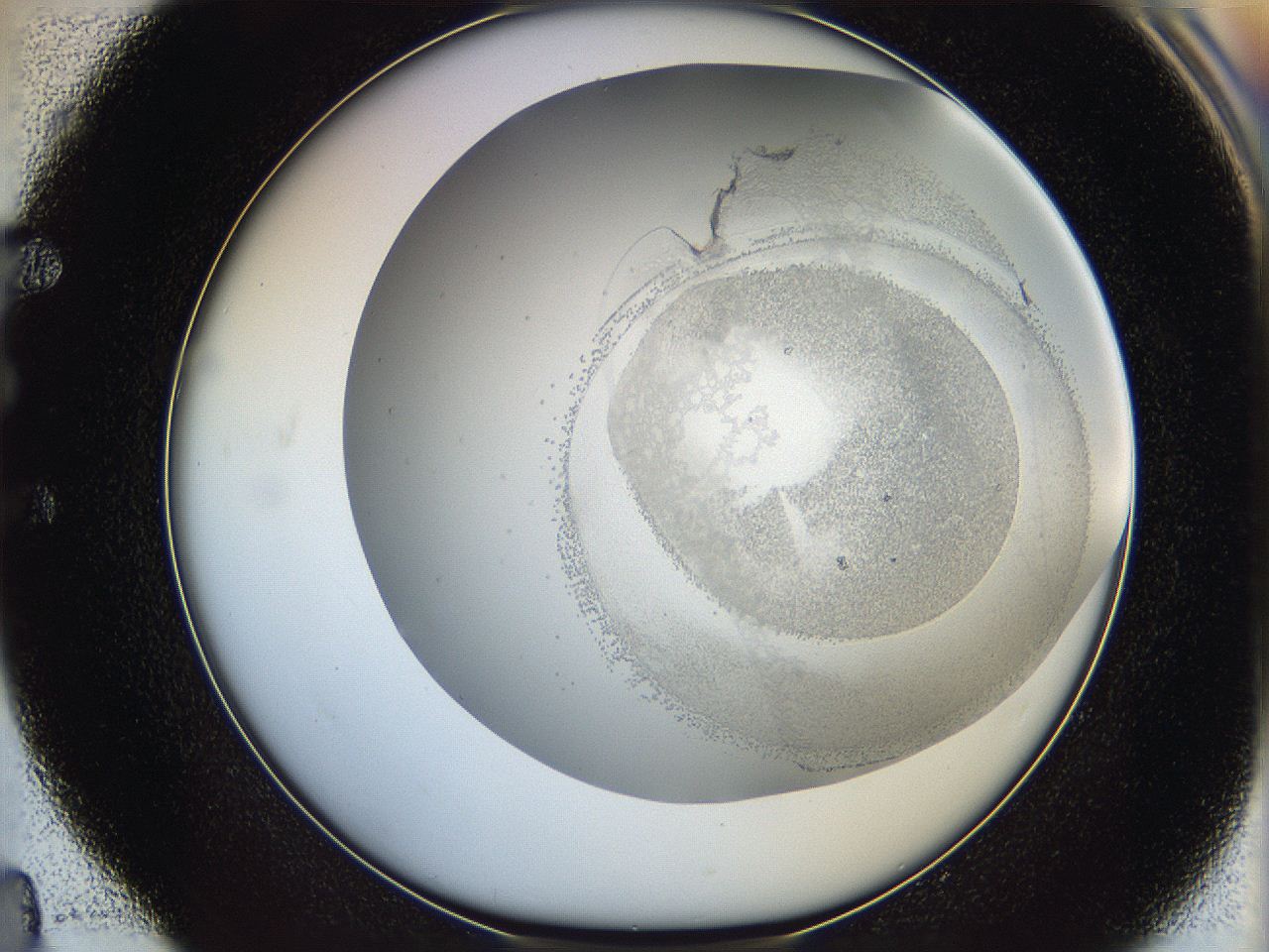 06c9_E4_ImagerDefaults_2.jpg