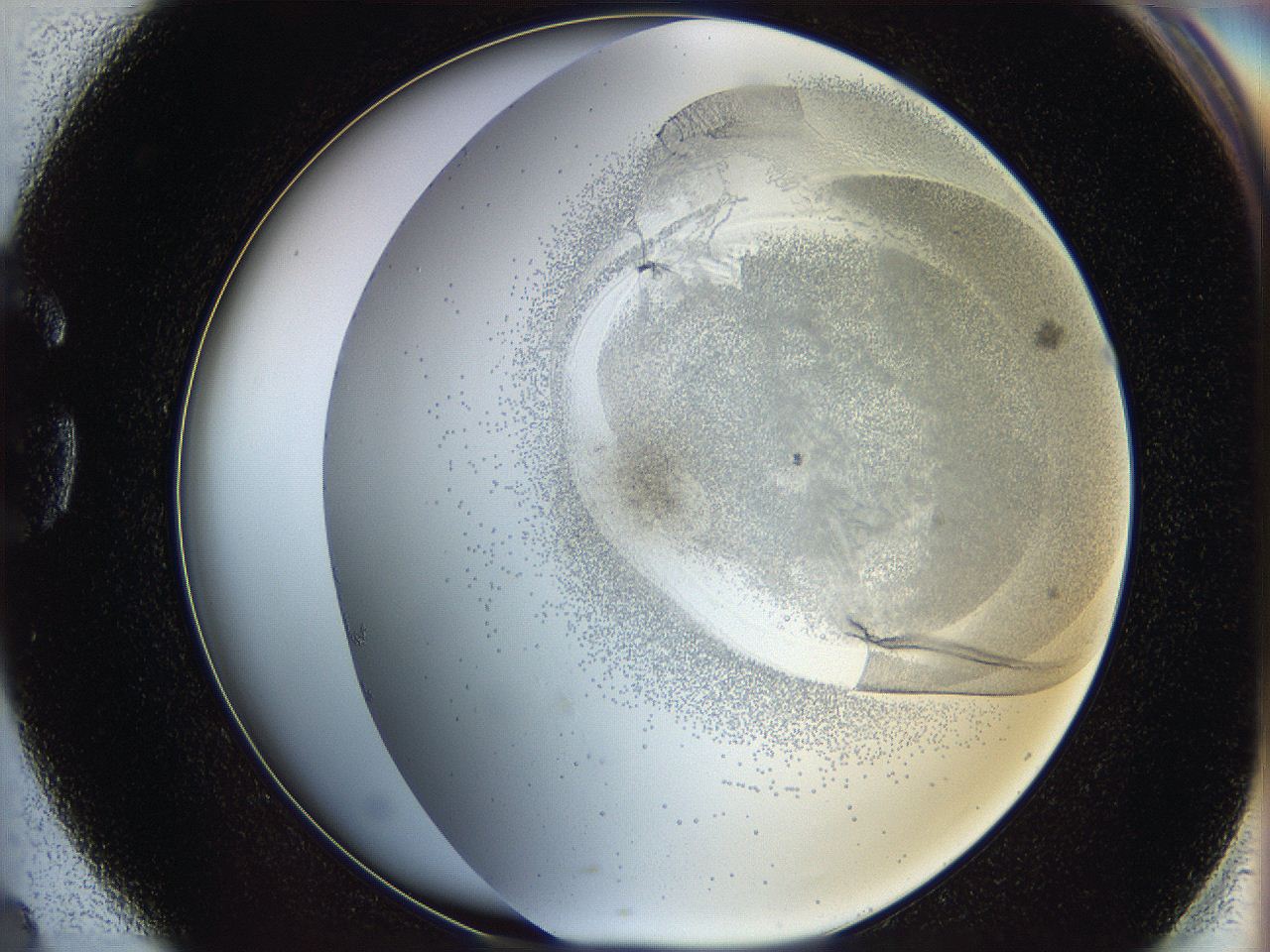 06c9_G4_ImagerDefaults_5.jpg