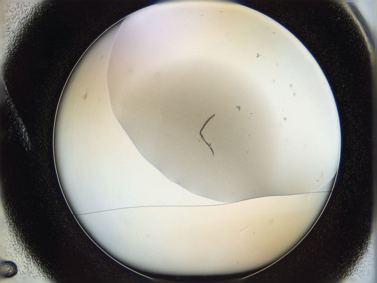 06ca_A5_ImagerDefaults_1.jpg