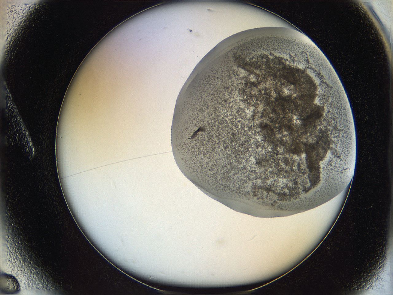 06ca_A6_ImagerDefaults_3.jpg
