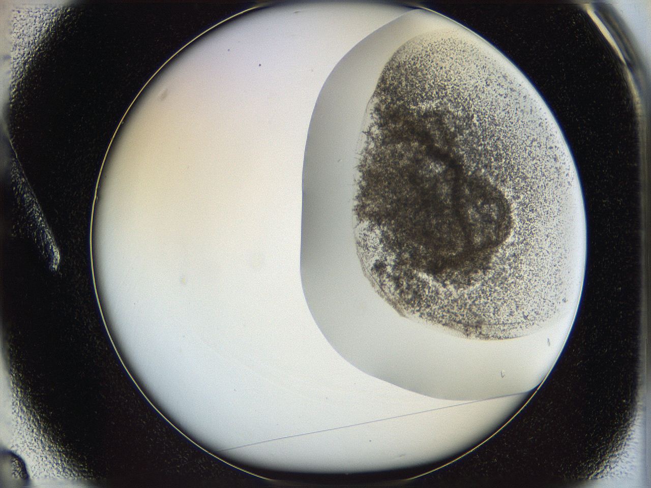06ca_A3_ImagerDefaults_3.jpg
