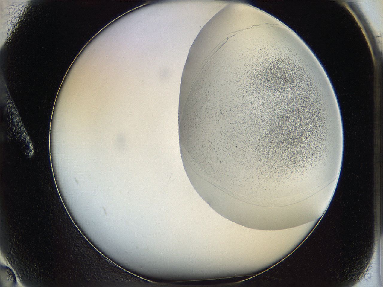 06ca_A2_ImagerDefaults_2.jpg