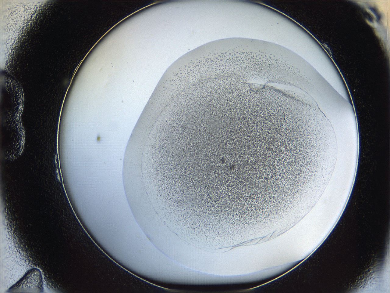 06ca_B11_ImagerDefaults_2.jpg
