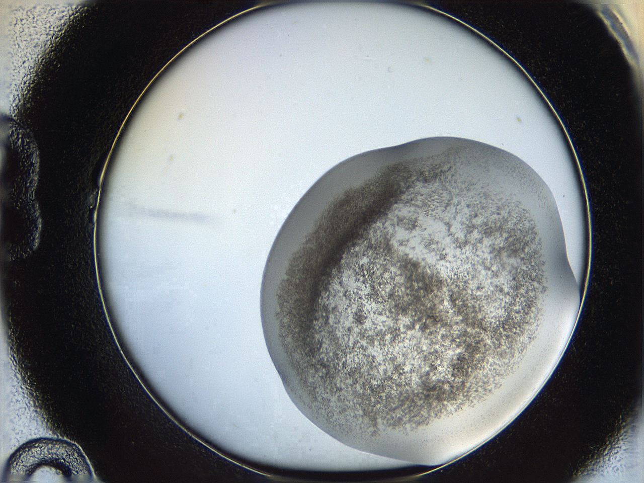 06ca_B10_ImagerDefaults_3.jpg