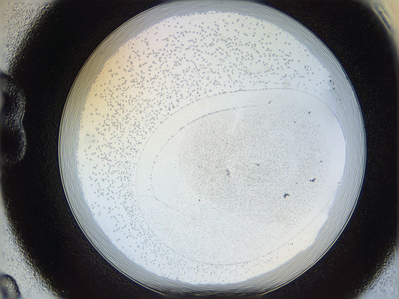 06ca_B8_ImagerDefaults_2.jpg