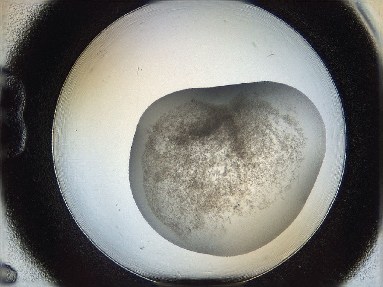 06ca_B6_ImagerDefaults_3.jpg